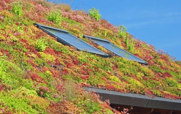 Orlandon living roof systems