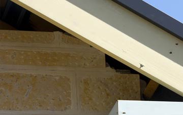 soffit repair Orlandon