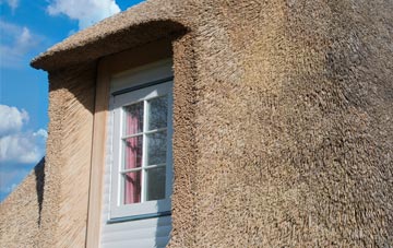 Orlandon thatch roof disadvantages