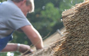 professional Orlandon thatchers