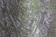 Orlandon fibreglass roof work