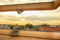 rated Orlandon roof window companies